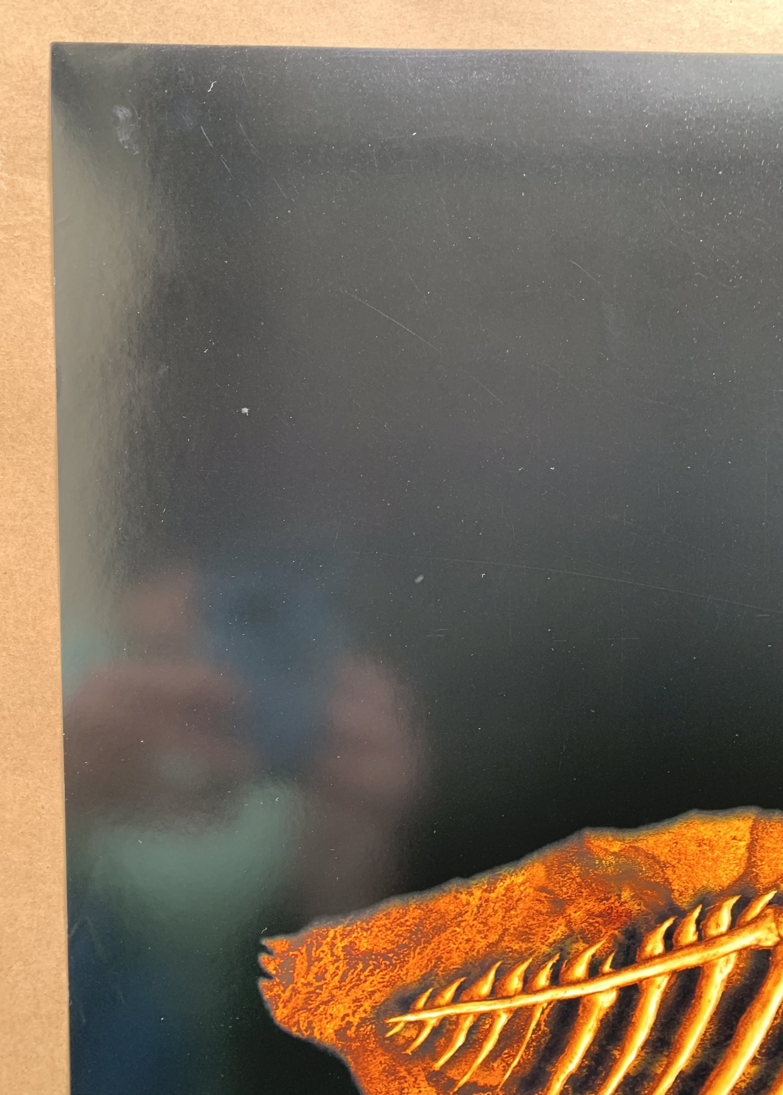 0282B068-B838-4704-BEE9-AF7C5C8B01AF.jpeg