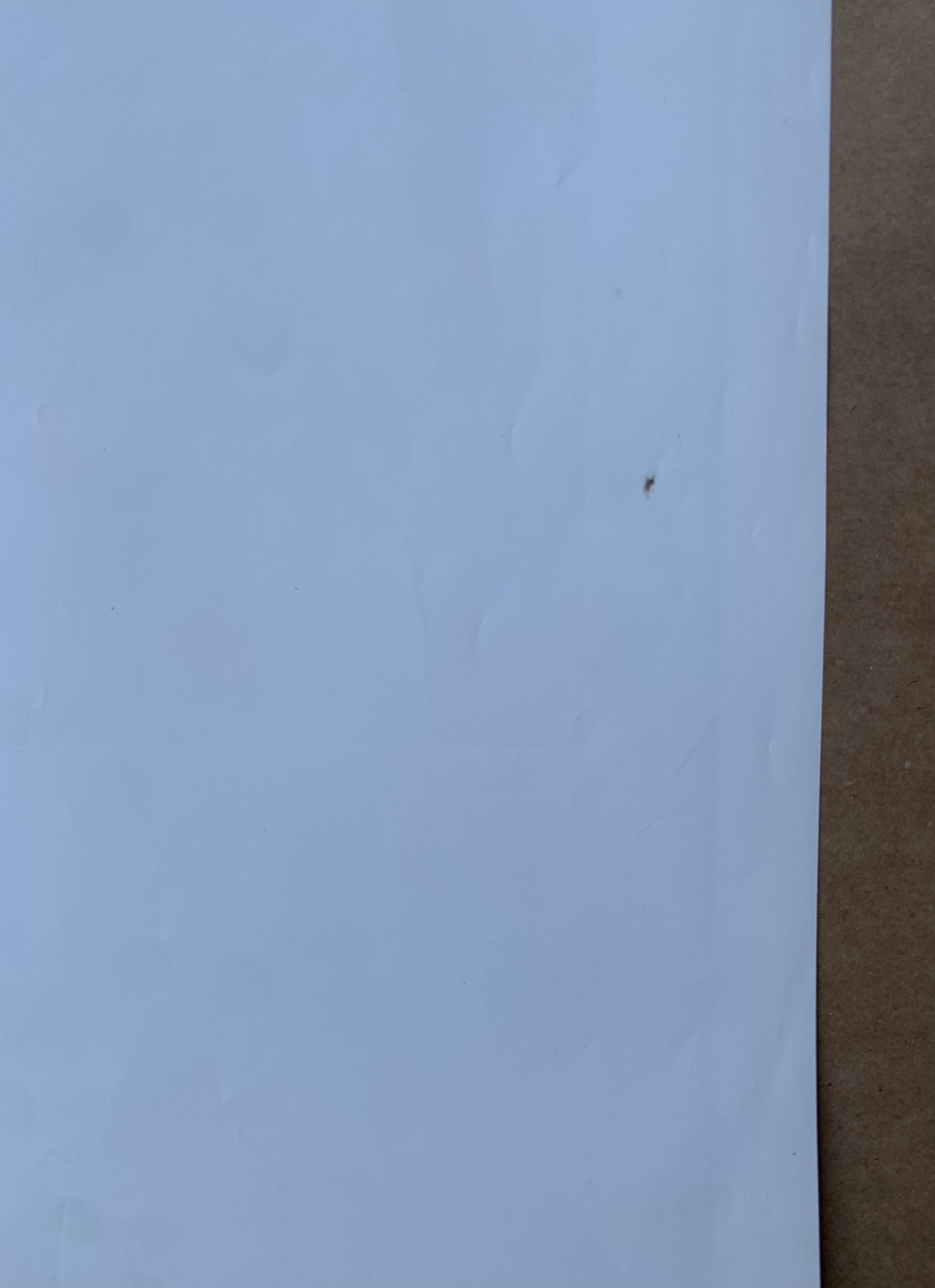B40CC162-6844-4019-9698-14C17D235E19.jpeg