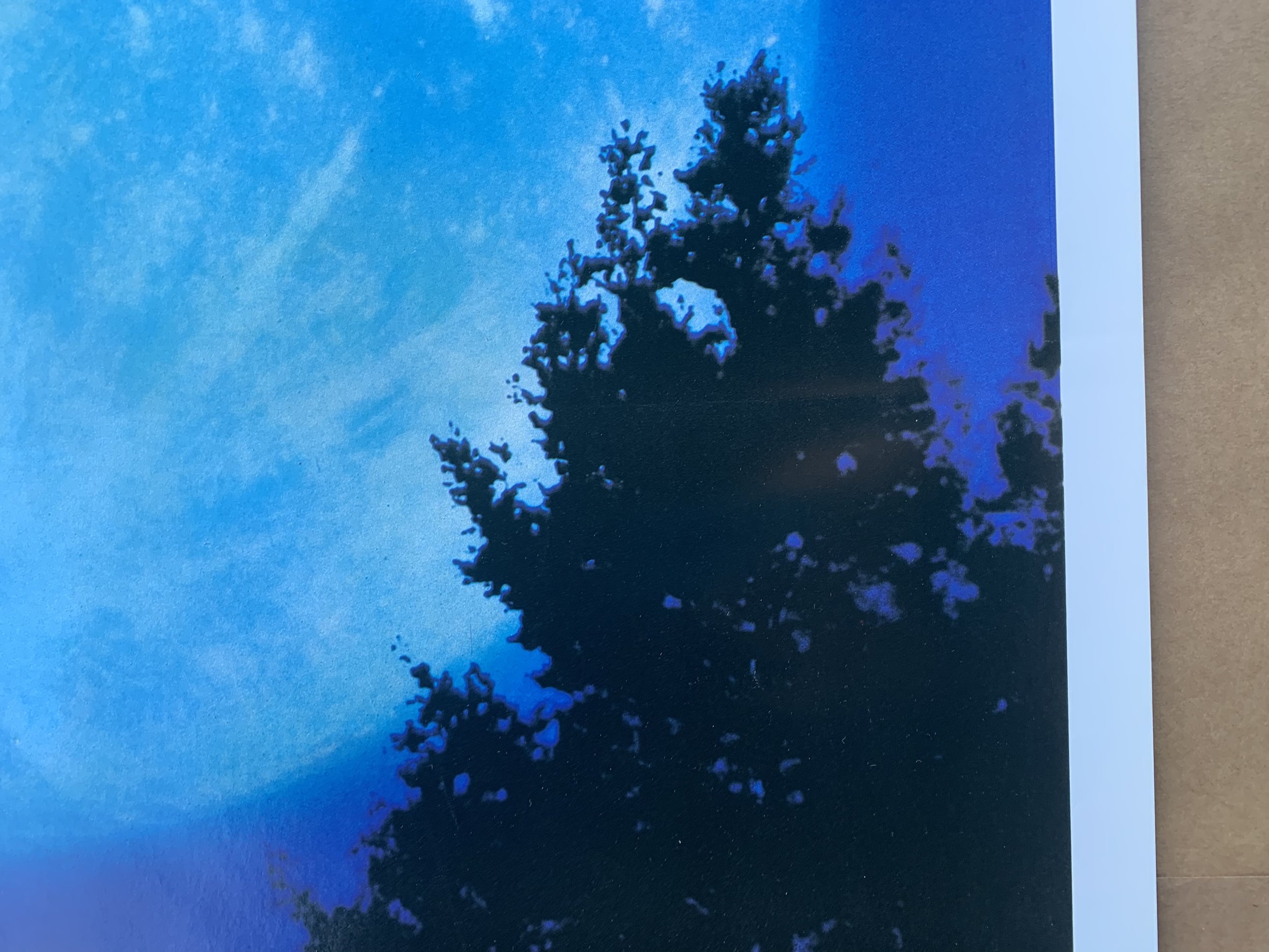 94413BC2-31E3-4223-886F-2862E4369DE9.jpeg
