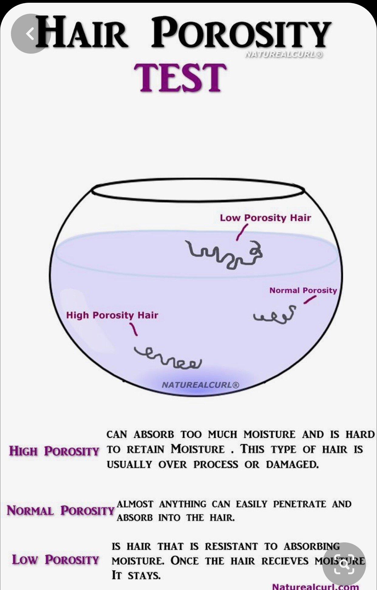 Let's Revisit Hair Porosity — Jamila's Thoughts Let's Revisit Hair Porosity — Jamila's Thoughts