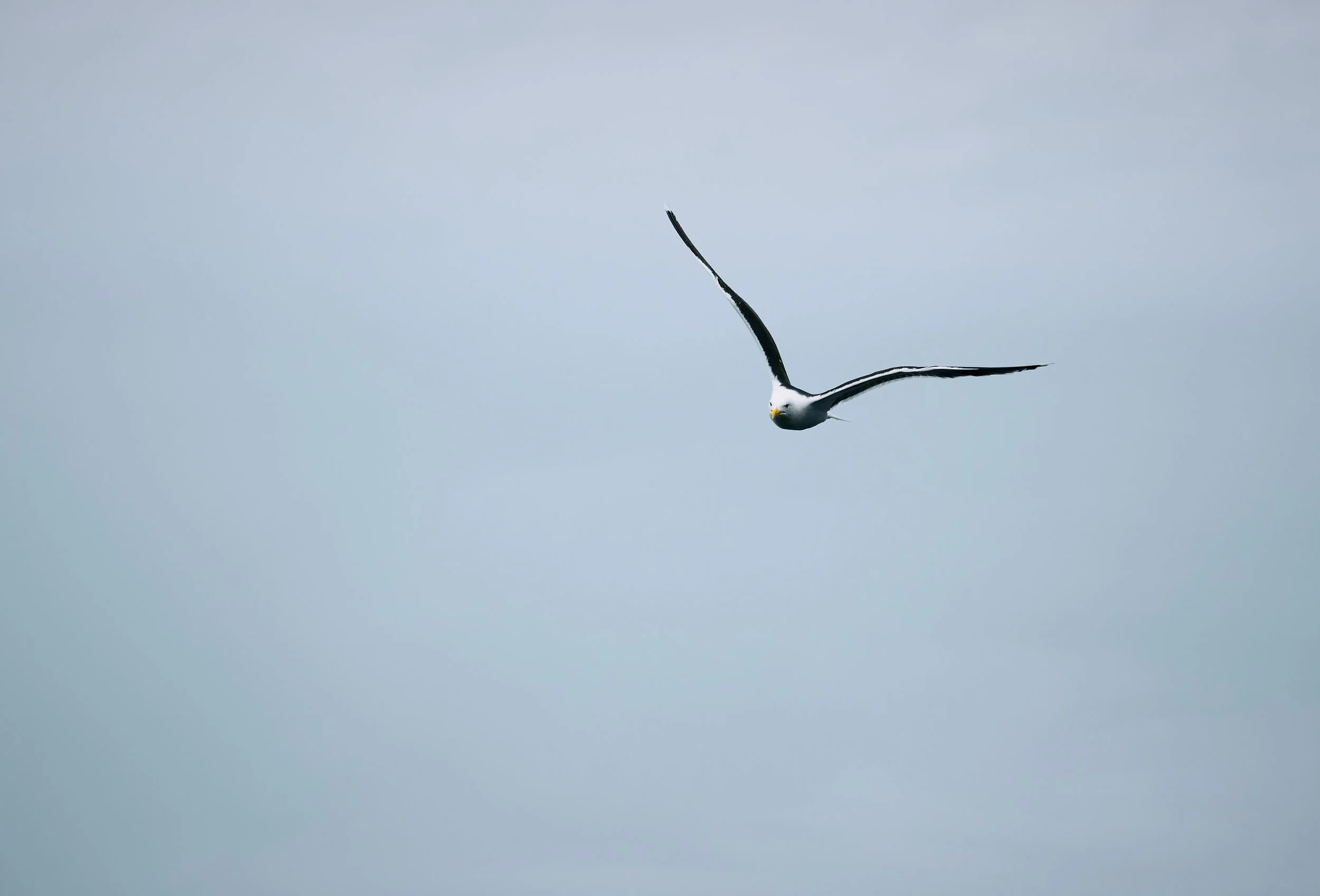 Kia tau te rangimārie