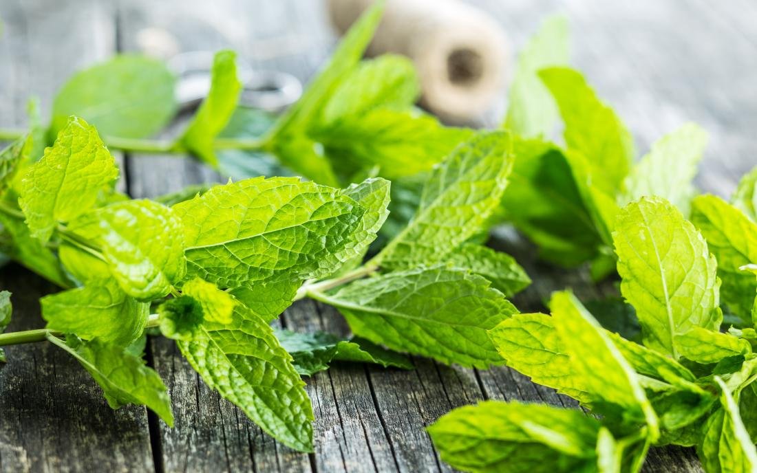 mint-on-a-wooden-table.jpeg
