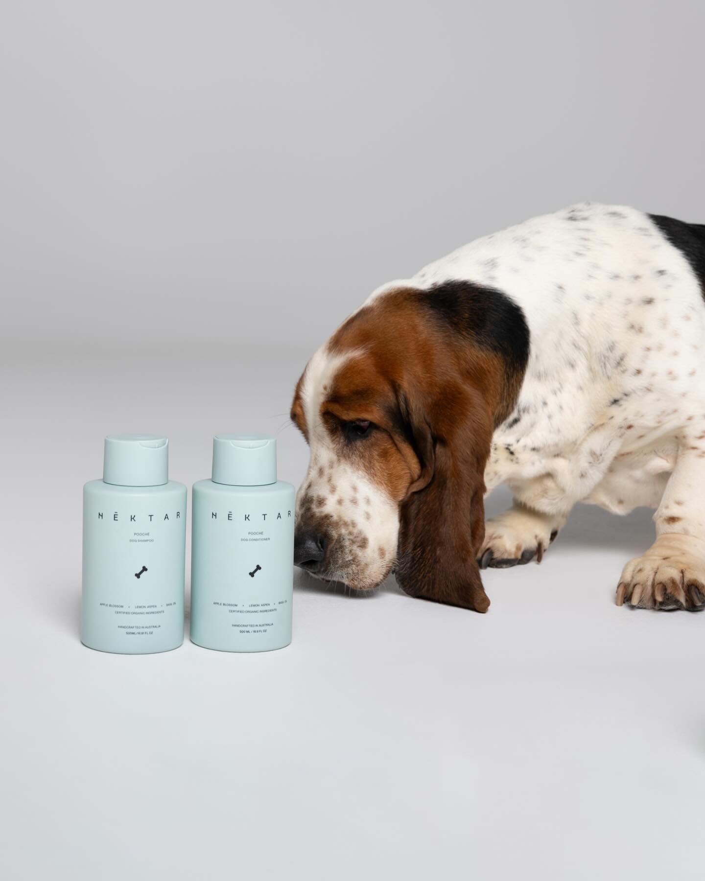 Cat (or should I say dog!) is out of the bag. 🐶🐶

Introducing Pooch&eacute;; where luxury meets the ultimate in canine care. Handcrafted in small batches in Australia with artisanal production, and utilising only the finest organic ingredients and 