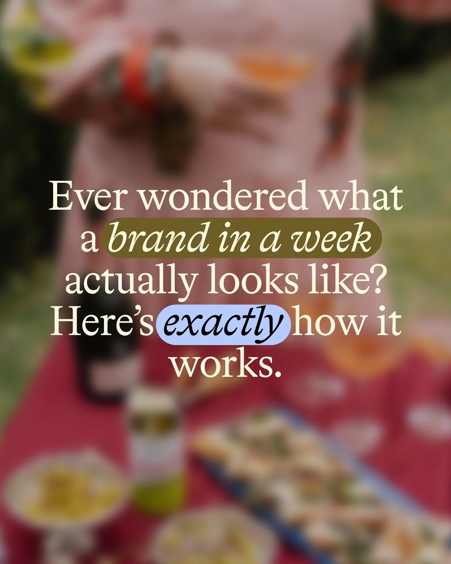 Not to be dramatic but getting your branding sorted has never looked this fun.

One week. Your full brand identity. Built around your unique  point of view by a brand designer who gives you their complete undivided attention from Monday to Friday. No