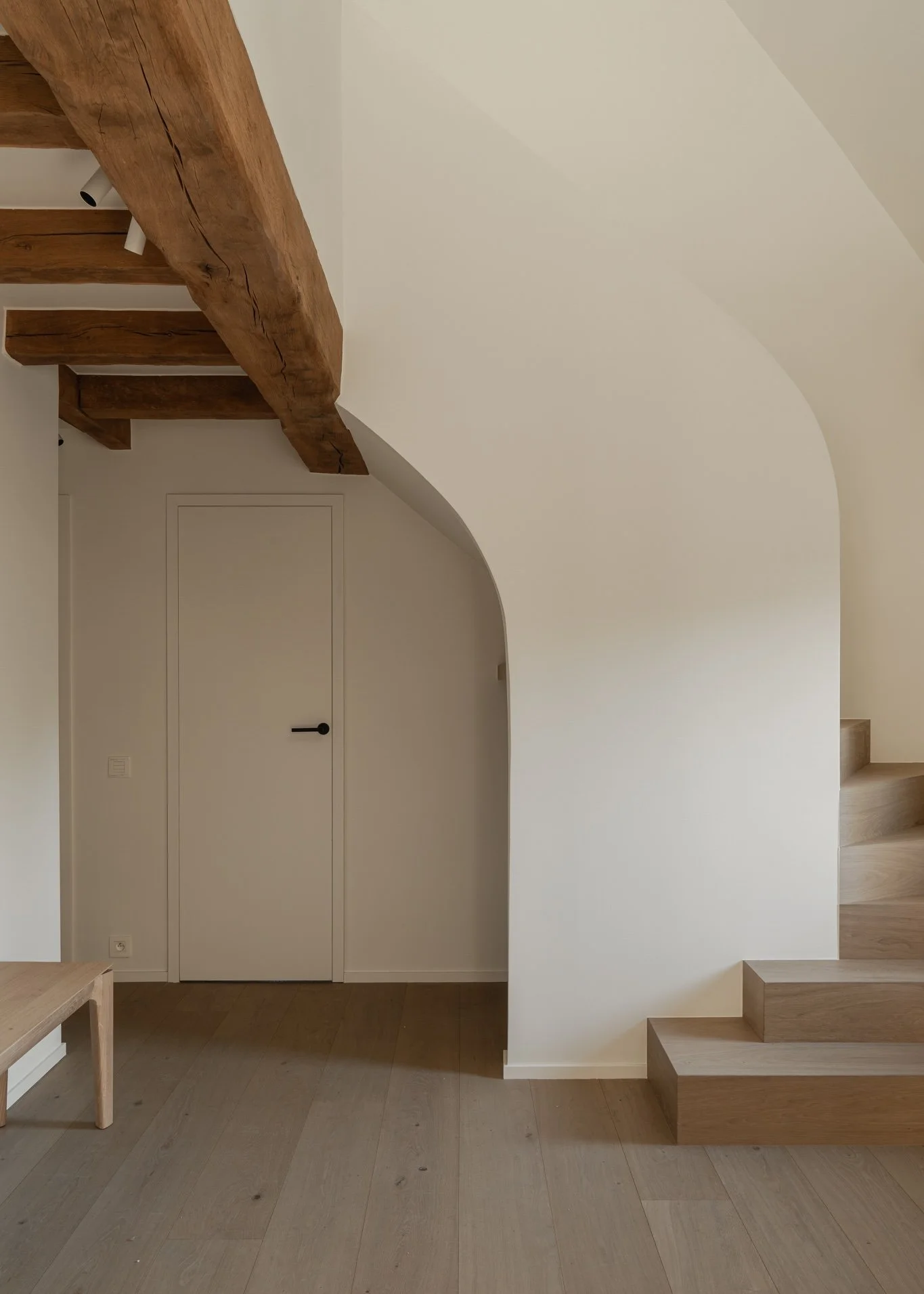 Owl 604 | European Oak