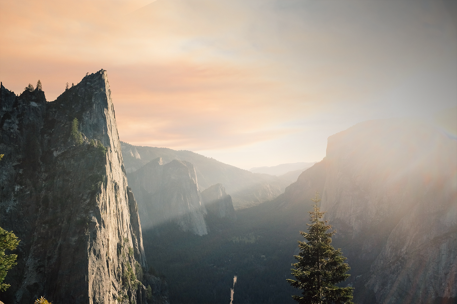 background1.png