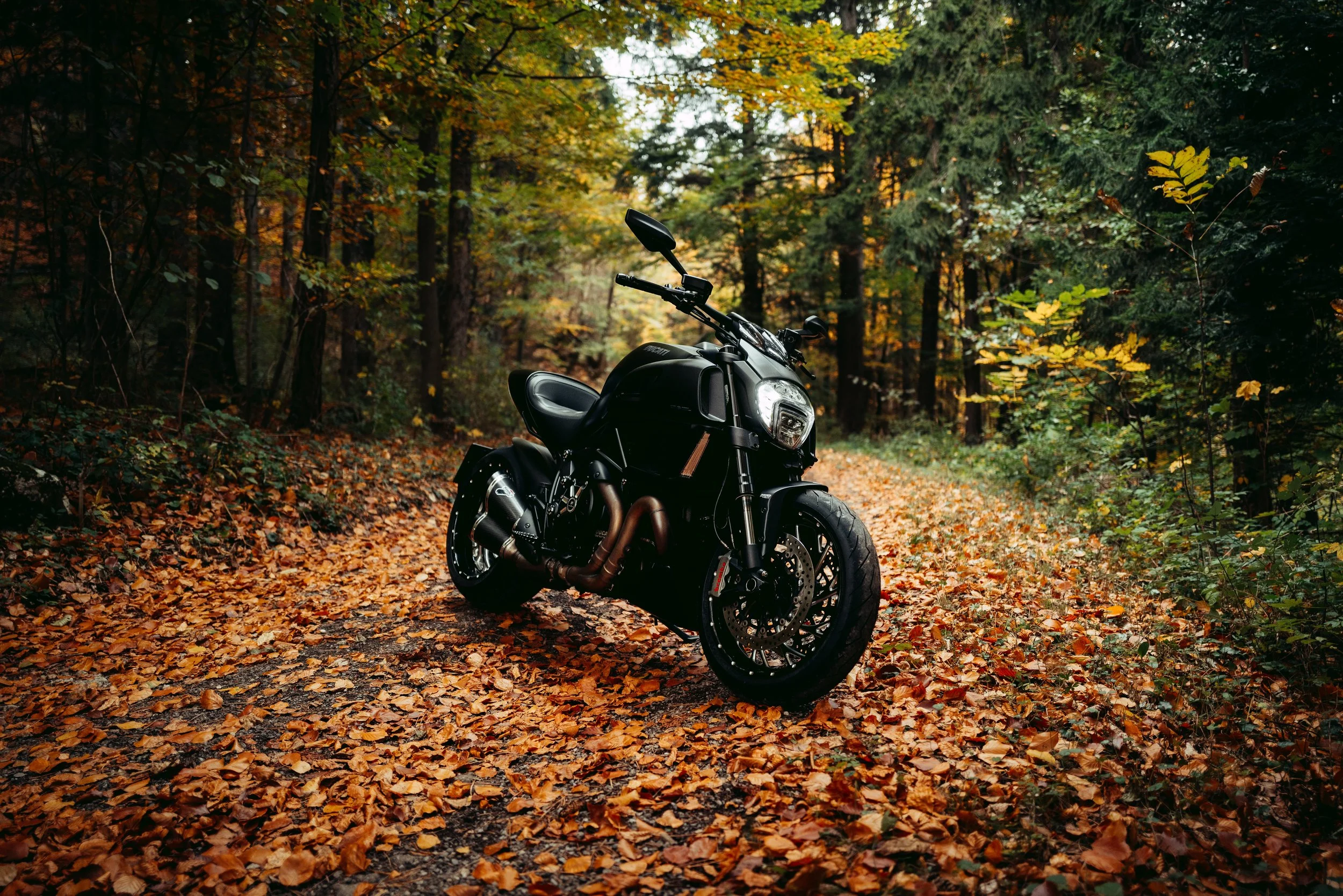 20231103_Ducati_Diavel-10.jpeg