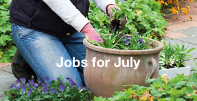 Jobs for July