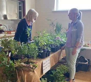Plant and produce stall