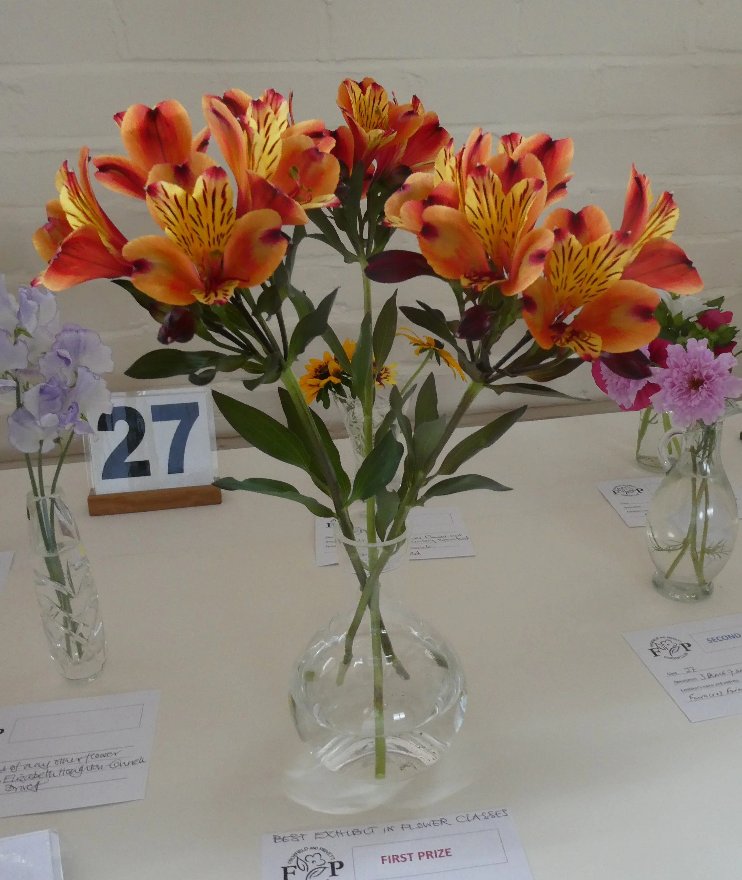 Best exhibit in the flower classes