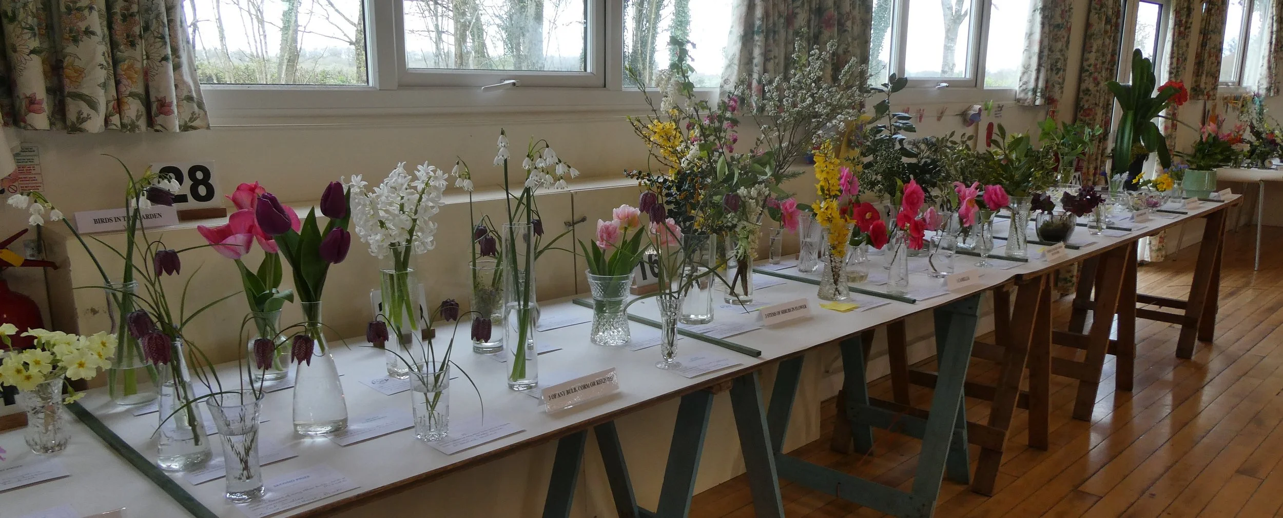 Other horticultural exhibits