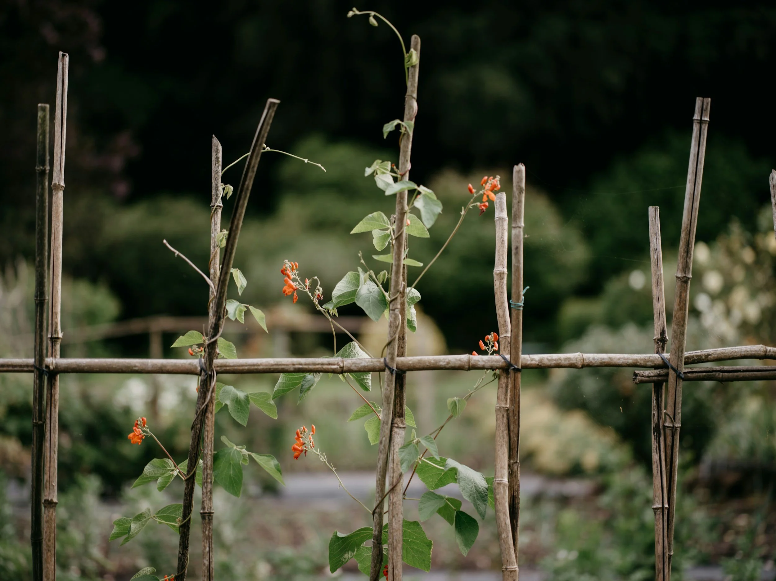‘From 30 Acres to 30 sq yds' - a talk by Geoff Hawkins
