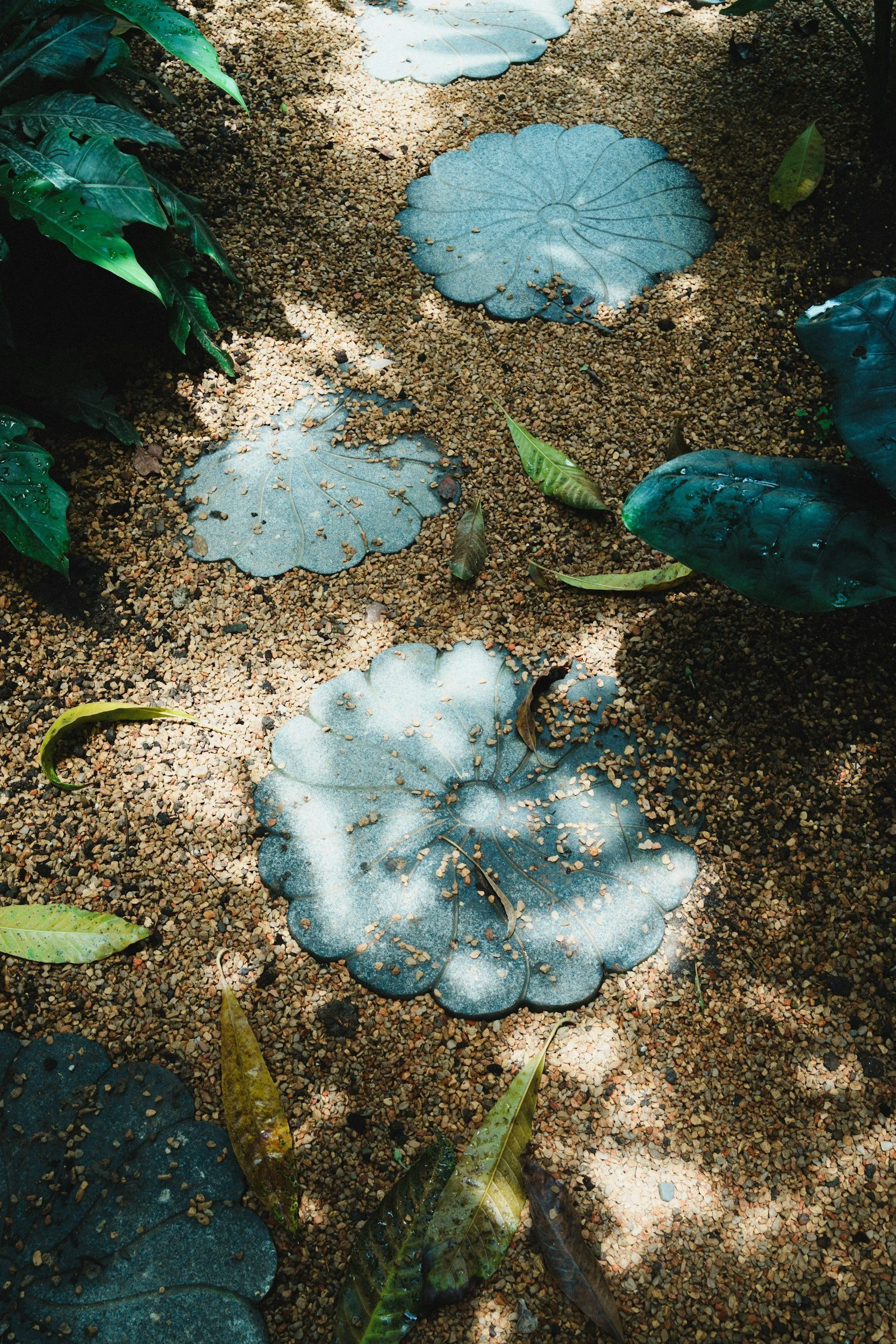'Denmans Garden' -a ZOOM meeting with Gwendolyn van Paasschen