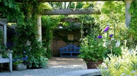 Afternoon Visit to Denmans Garden, Fontwell