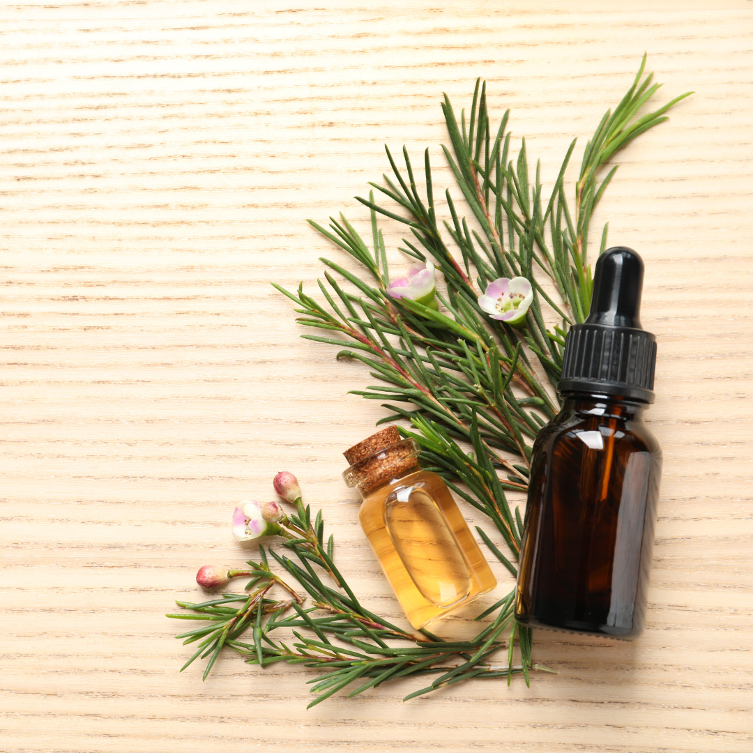 Tea Tree Oil for Eczema: Benefits, Risks, and How to Use It Safely