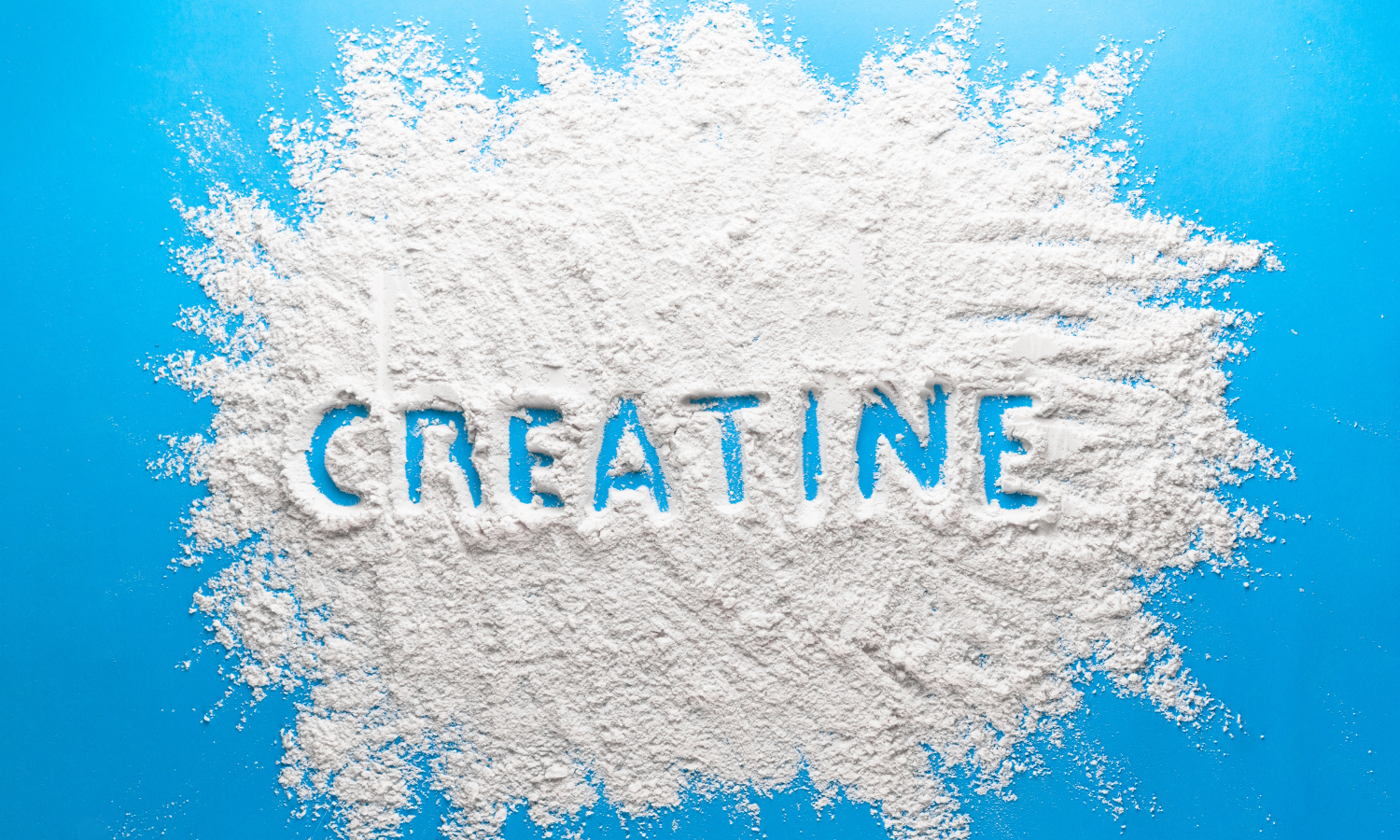 Creatine powder and supplement container — creatine acne DHT 5-alpha-reductase androgen-sensitive sebaceous gland mechanism