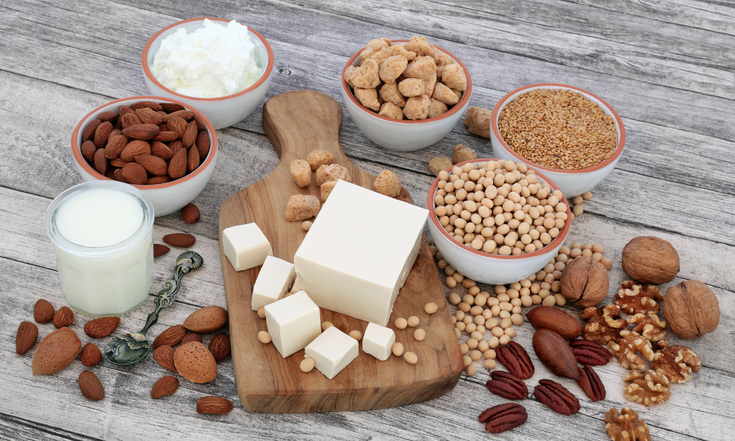 Soy foods including tofu edamame tempeh and soy milk — soy allergy eczema triggers and fermented soy differences