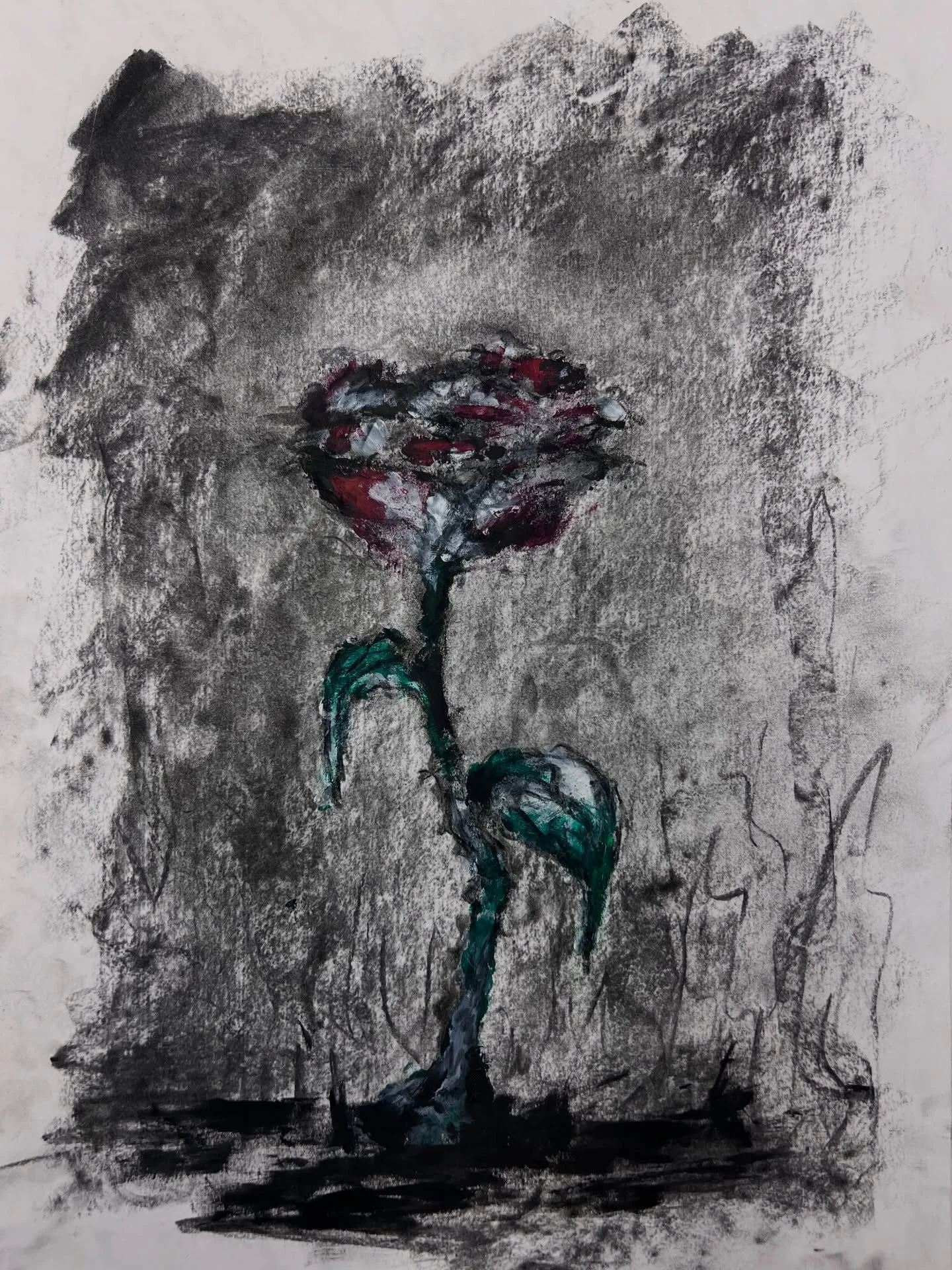 Early signs of spring.
Quiet but powerful.

Flowers pushing through.
Breaking the surface.
Reaching for the light.

These pieces are by our Future Artists taught by @scotteuden 
A group of young people using charcoal and touches of acrylic to explore