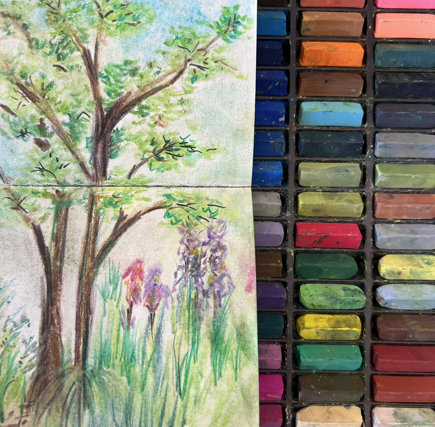 WILD CLUB - DAY 3 'Nature Journaling'