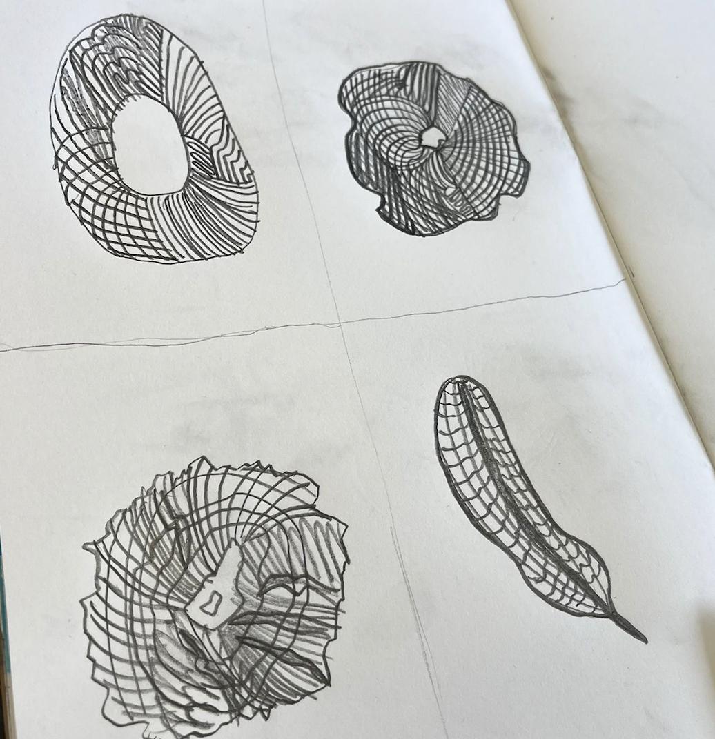 Screenshot 2026-01-23 at 13.36.43.png