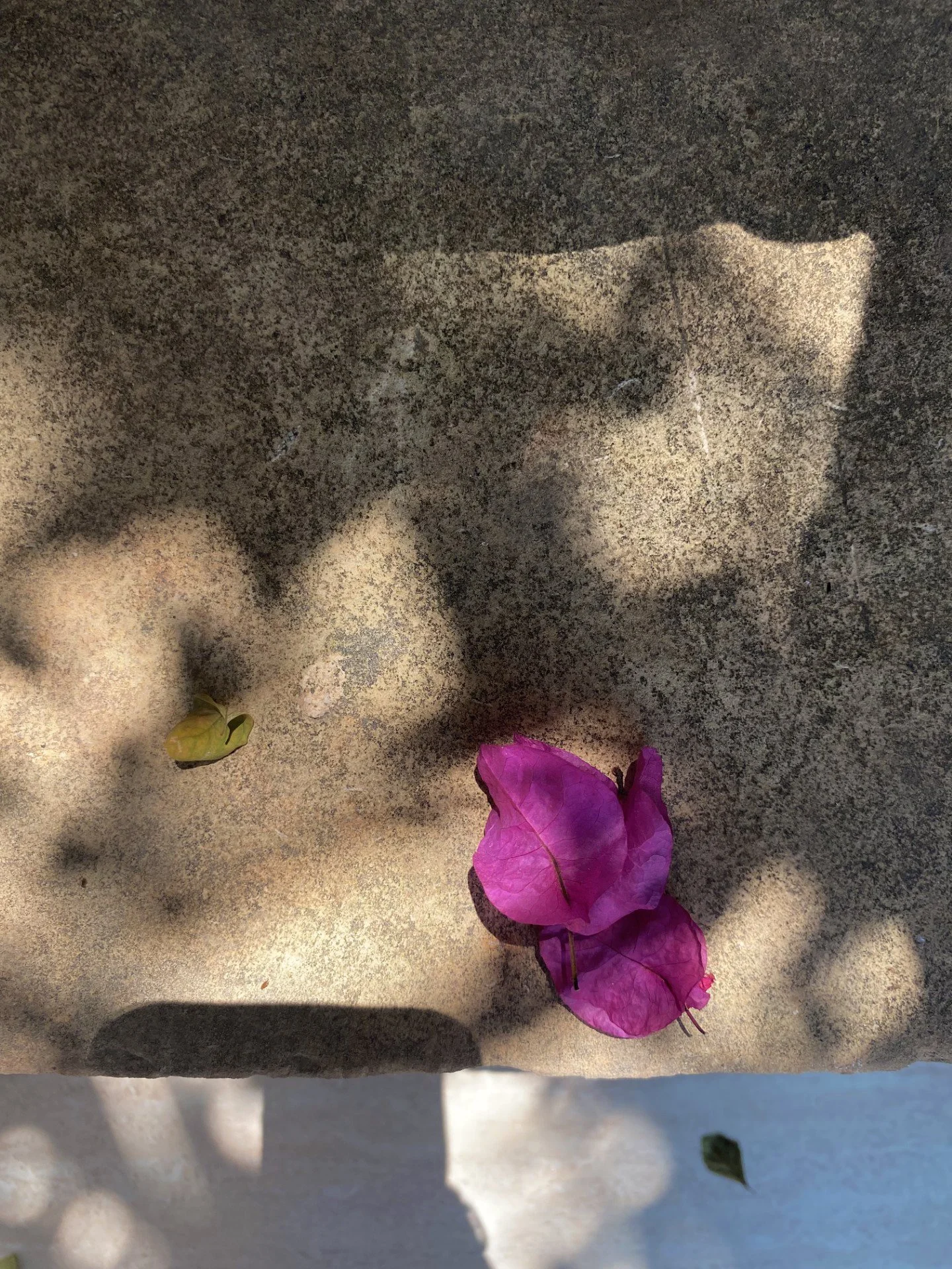 thumbnail_IMG_3293 copy.jpg