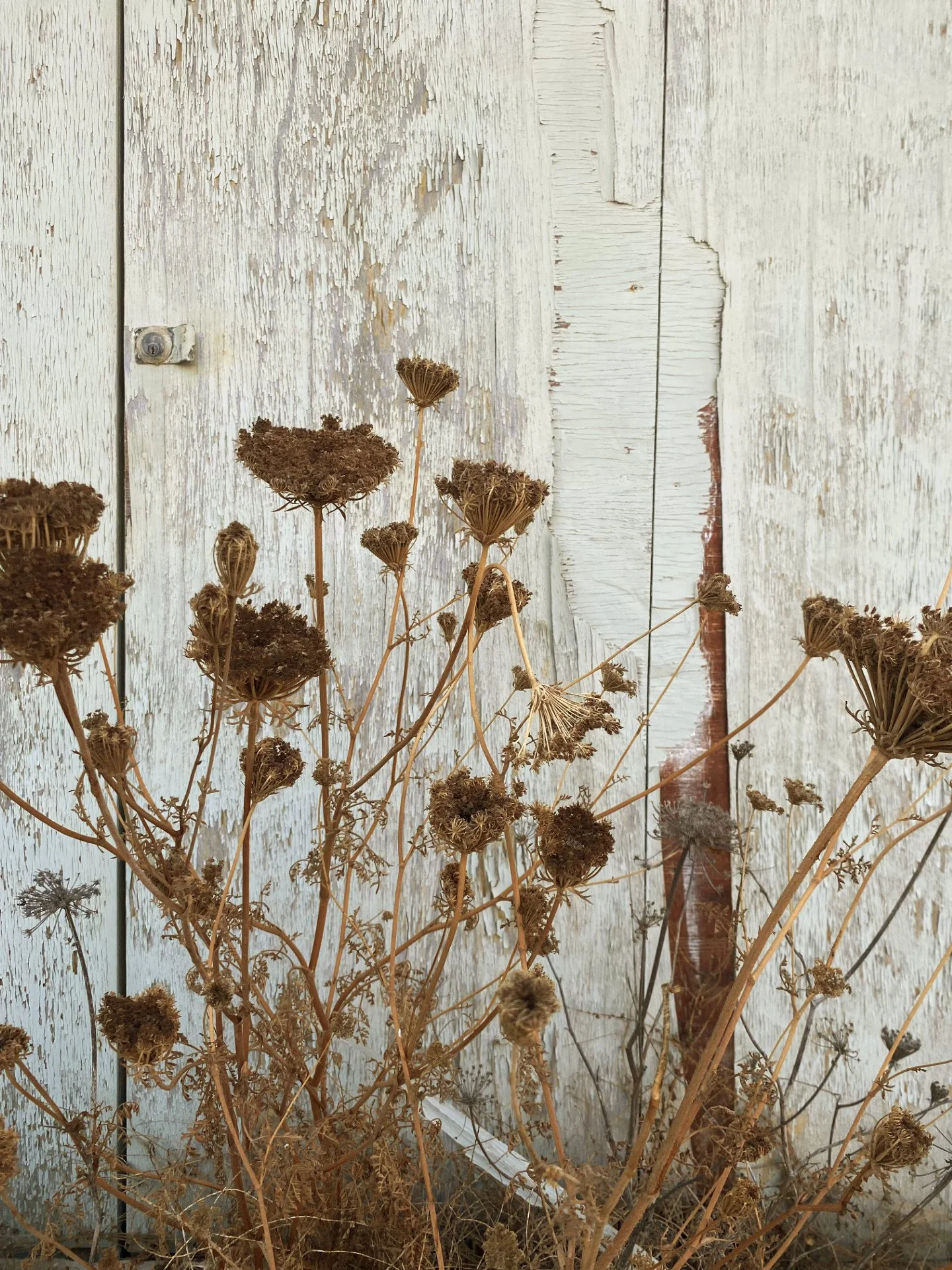 thumbnail_IMG_3614 copy.jpg