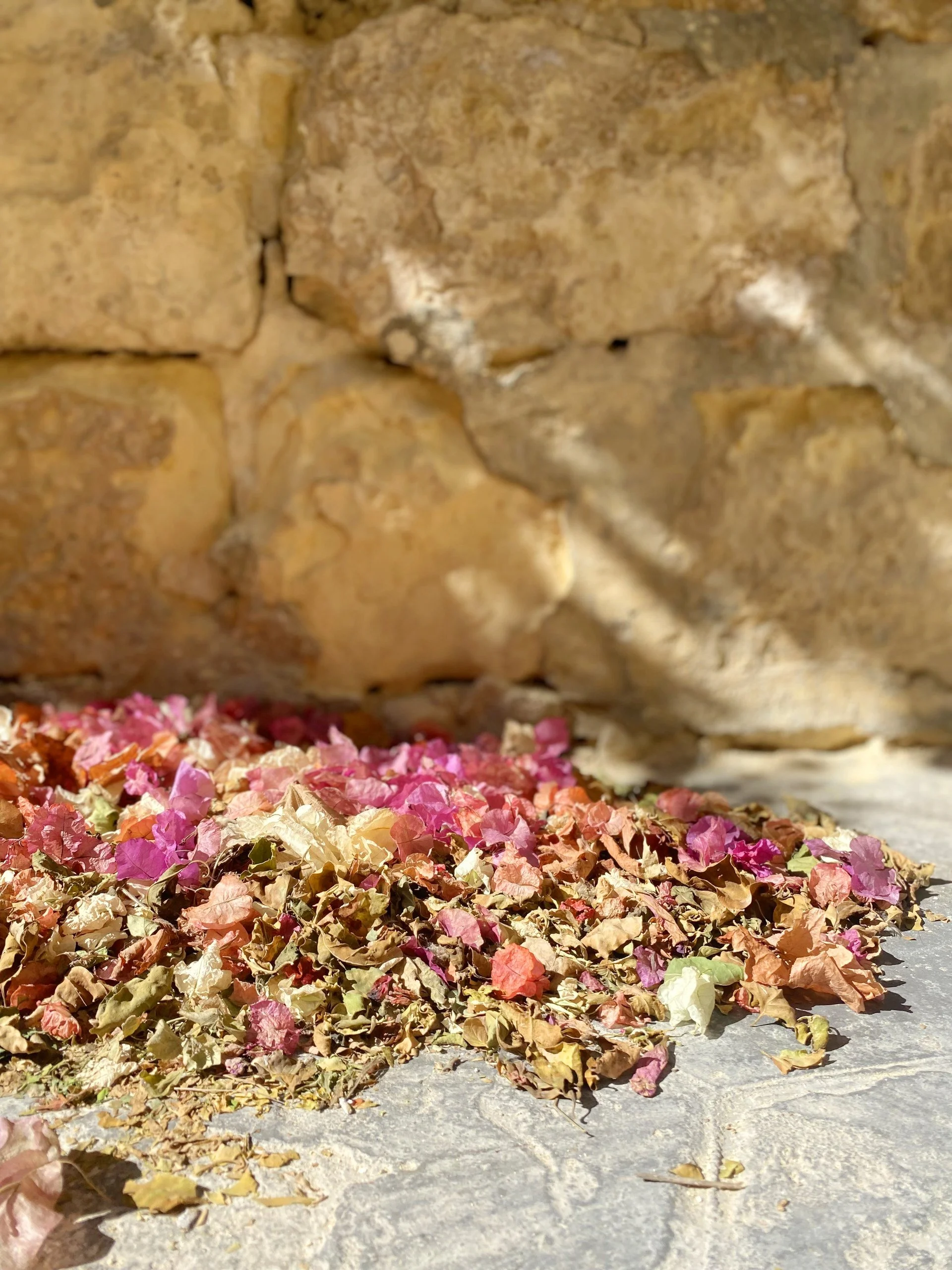 thumbnail_IMG_3057 copy.jpg