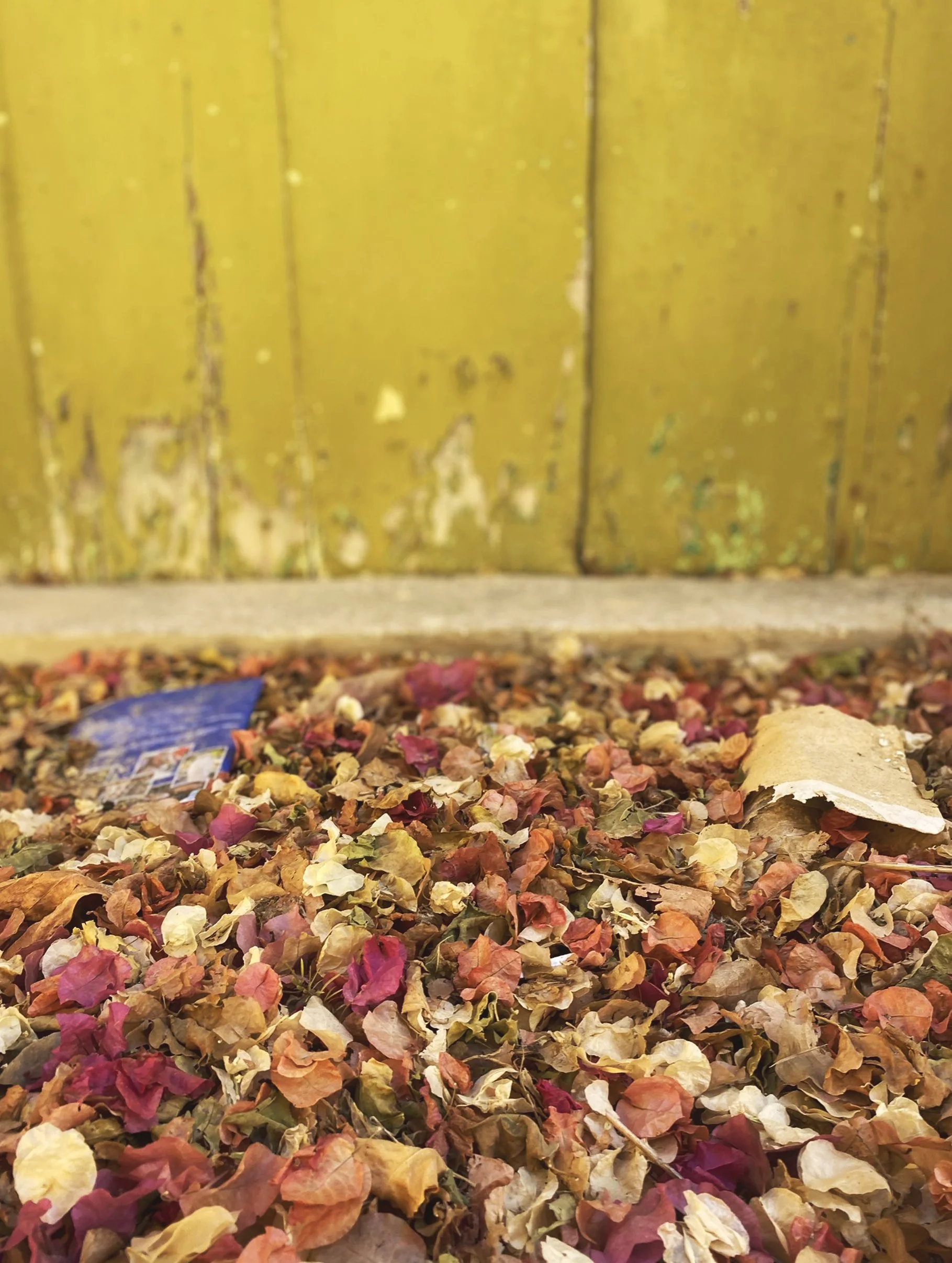 thumbnail_IMG_3064 copy.jpg