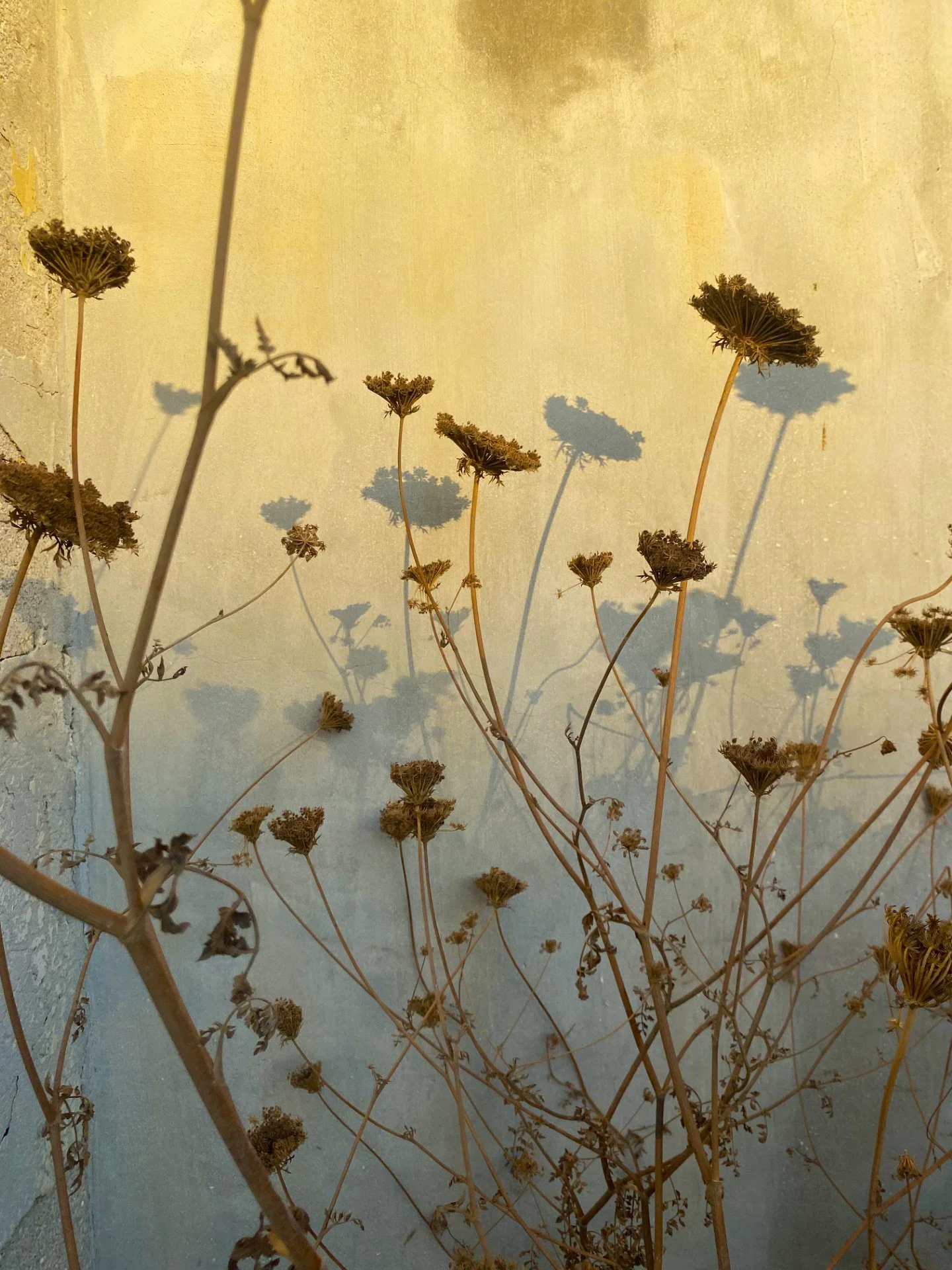 thumbnail_IMG_3605 copy.jpg