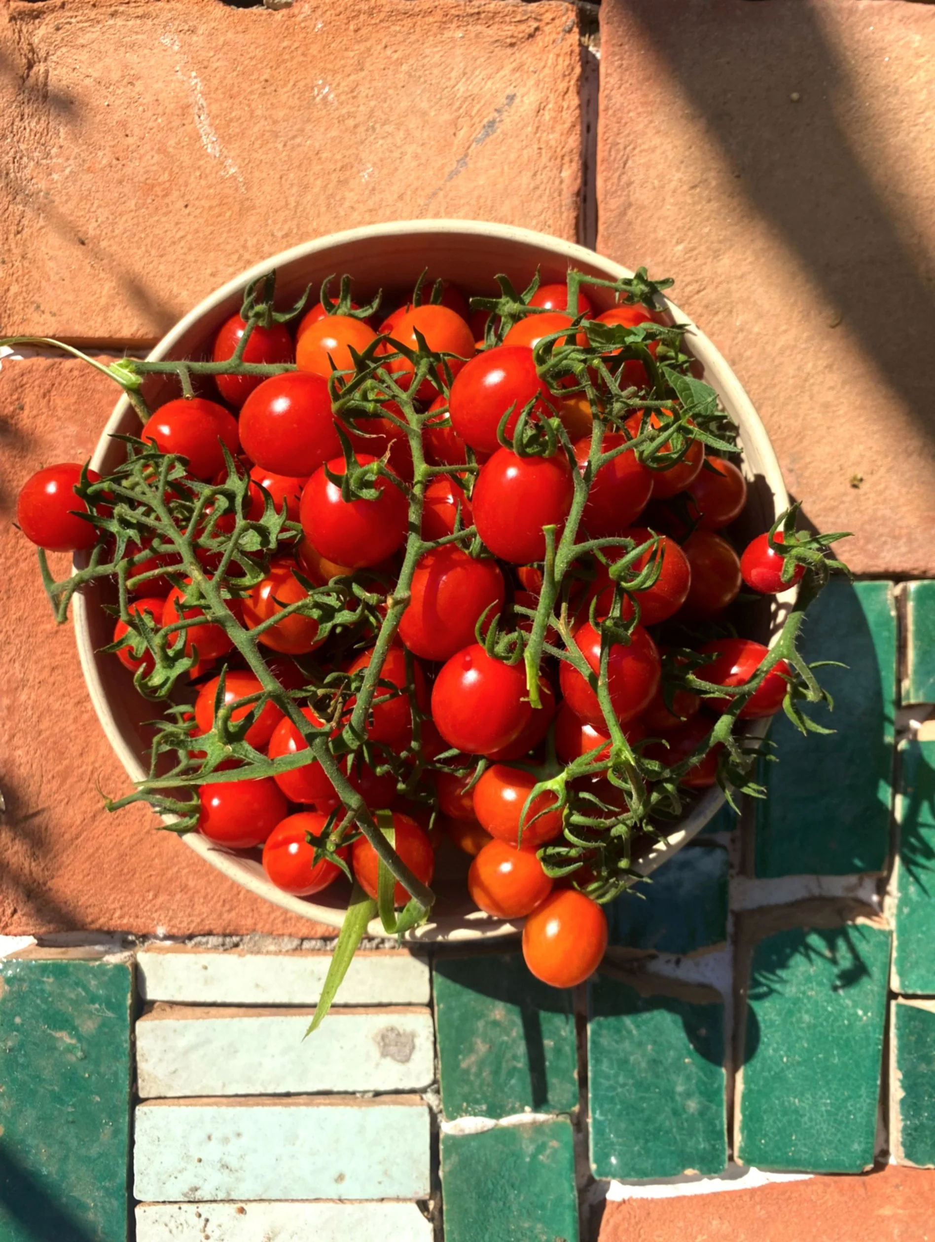 thumbnail_FB4CAD7E-AC1E-423C-96C6-CE05E76AE997 copy.jpg