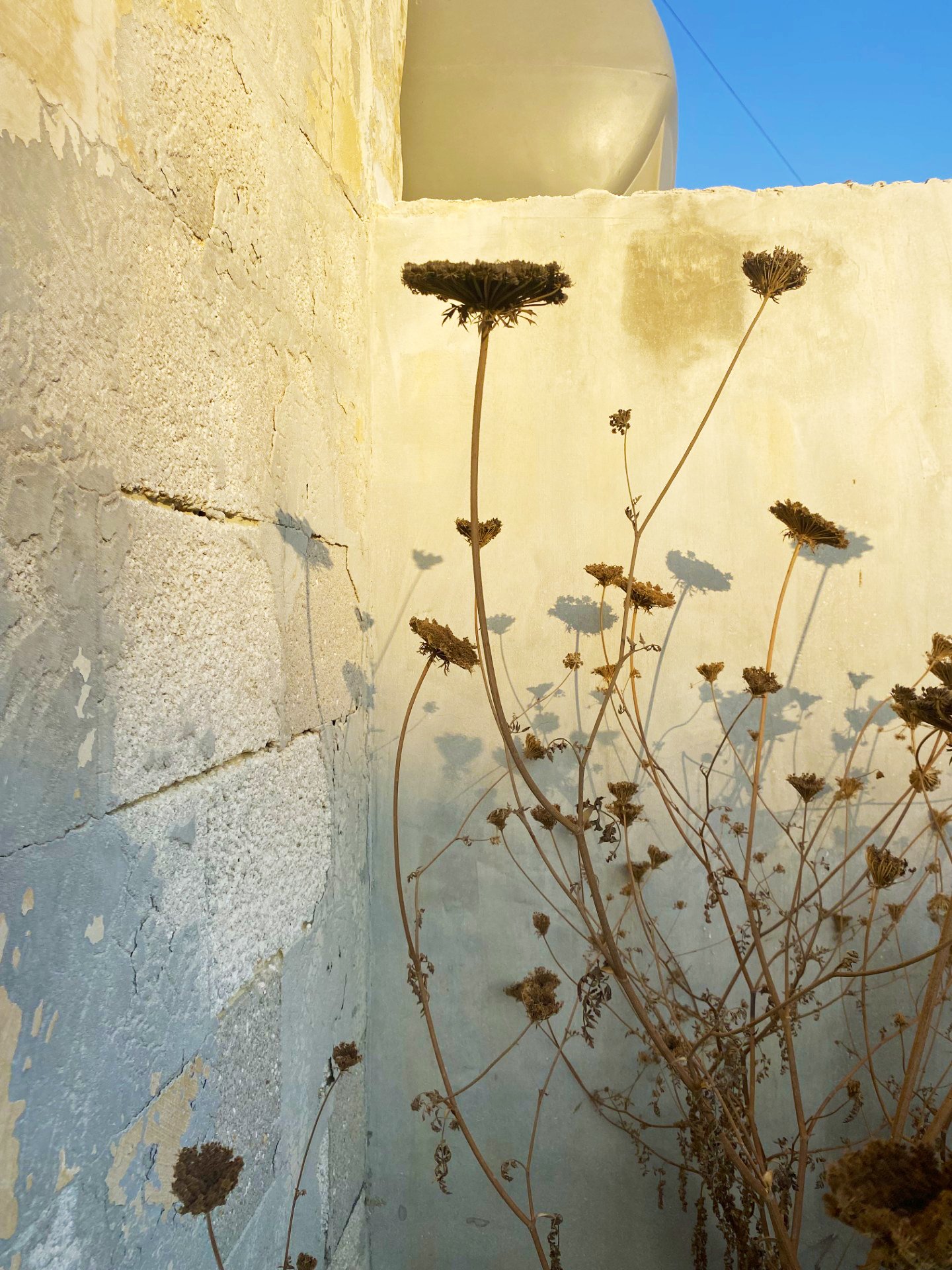 thumbnail_IMG_3601 copy.jpg