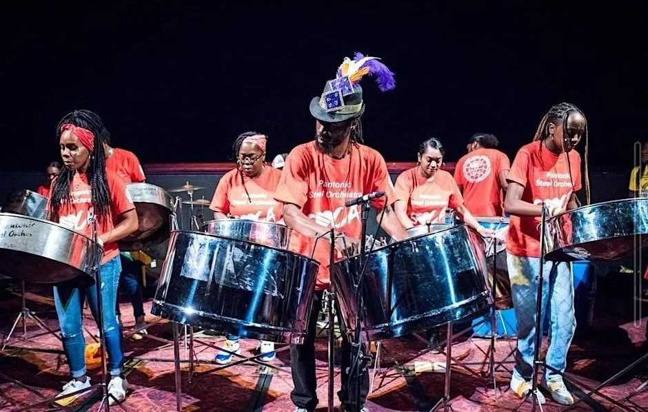 Learn to Play! Steel Pan Taster Sessions