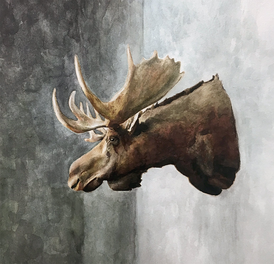 Moosehead Watercolour Hompeage.jpg