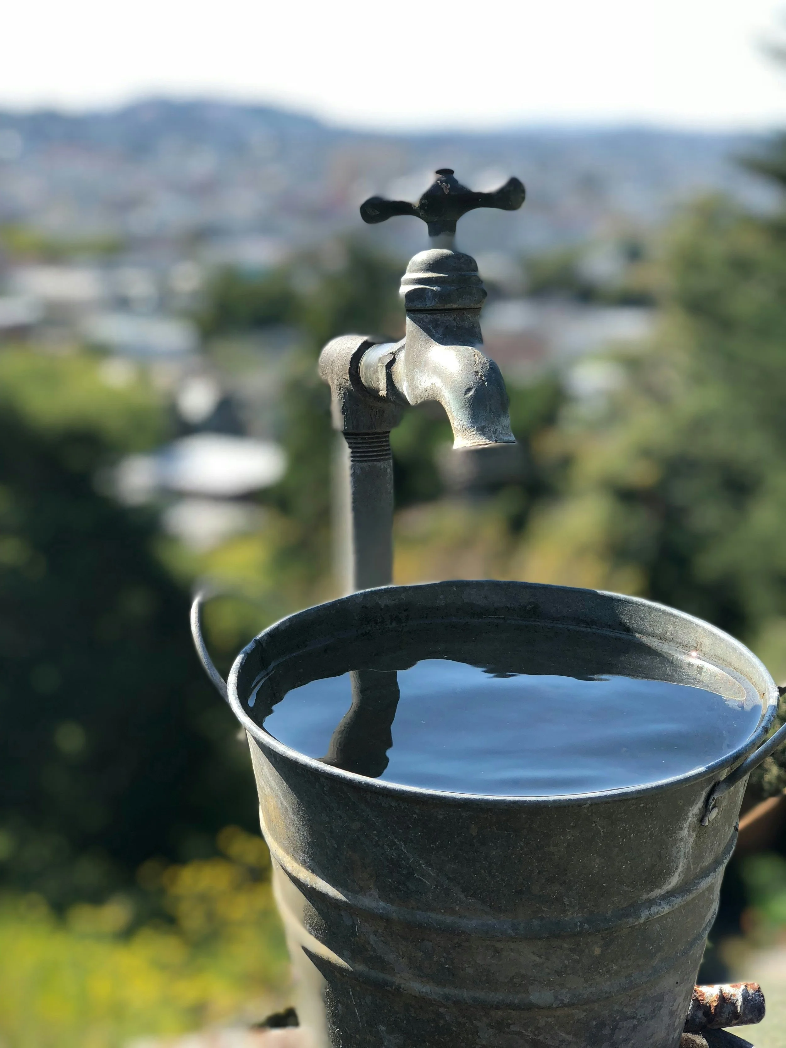 Looking After Your Wellbeing in a Busy World