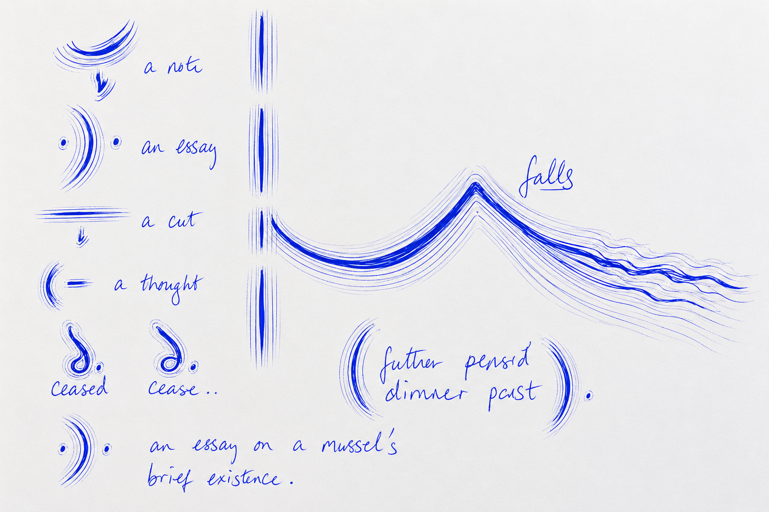 essay on mussels 2.png