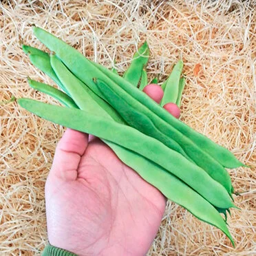 Flat Beans (200g)