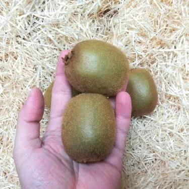 Kiwi (1 unit)