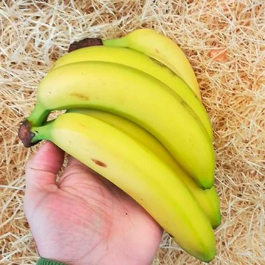 Banana 'Smash' (1 unit)