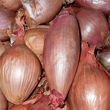 Banana Shallot Onions (500g)