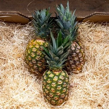 Medium Pineapple ( 1 unit)
