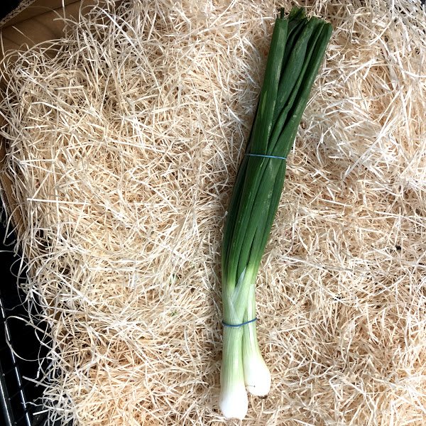 Short Spring Onion (100g)