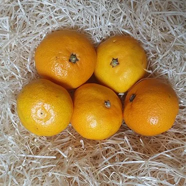 Satsumas (500g)