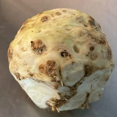 Celeriac (1 unit)