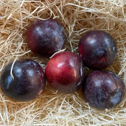 Red/ Black Plums (500g)