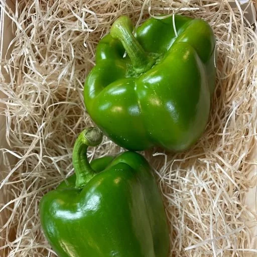 Green Pepper (500g)