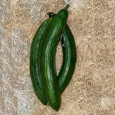 Cucumbers (1 unit)