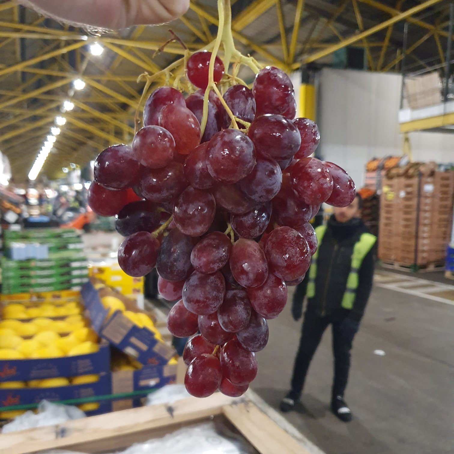 Red Grapes (500g)
