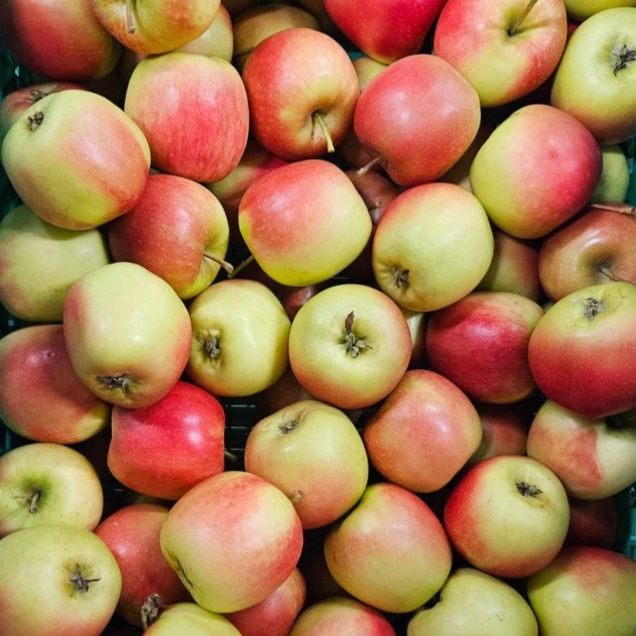 Delbard Estival Apples (1kg)