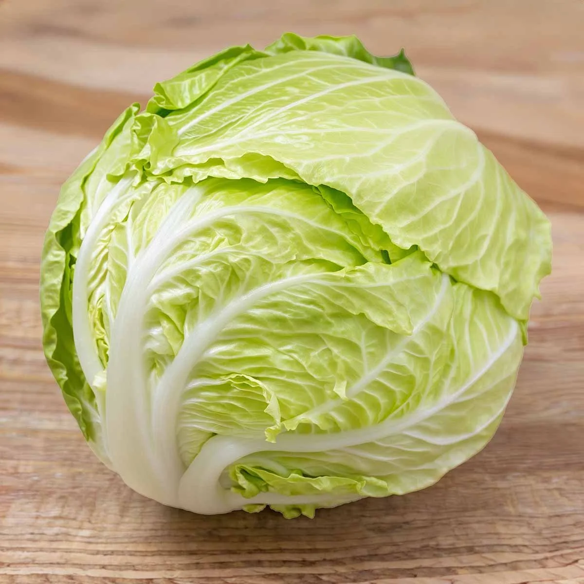 Iceberg Lettuce (1 head)