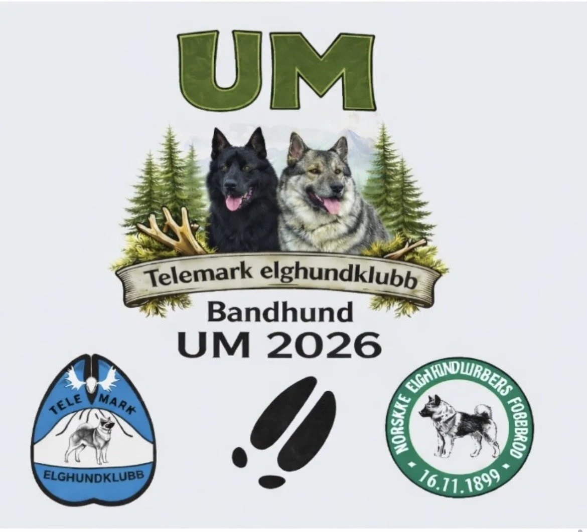 UM Bandhund 2026 